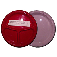 Disposable Plates with Lid